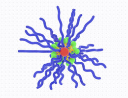 Les nanoparticules de Bottlebrush délivrent des médicaments immunostimulants