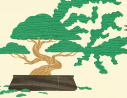 illustration of two hands trimming a bonsai tree with scissors