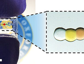 Batterie chargée par les larmes pour les lentilles de contact intelligentes