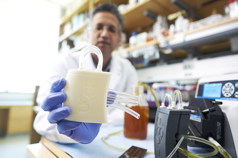 Bioréacteur implantable pour cellules rénales