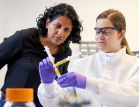 Biomatériau rhéofluidifiant pour applications emboliques : entretien avec Upma Sharma, président-directeur général d'Arsenal Medical