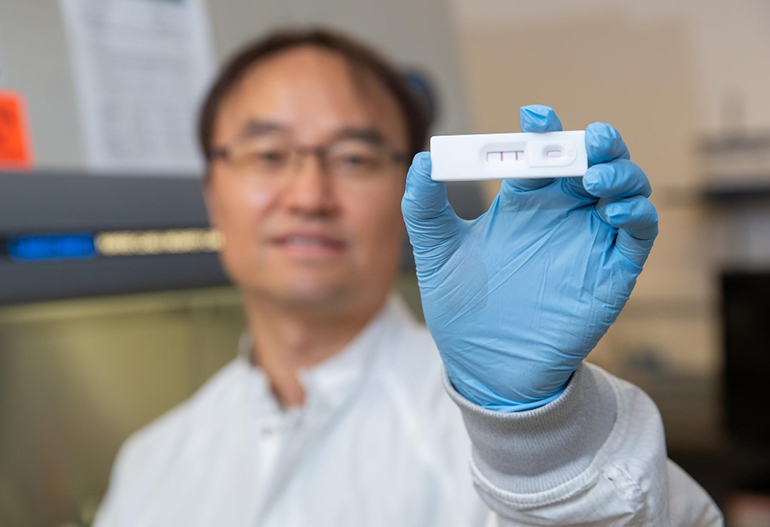 Test de flux latéral pour la gingivite