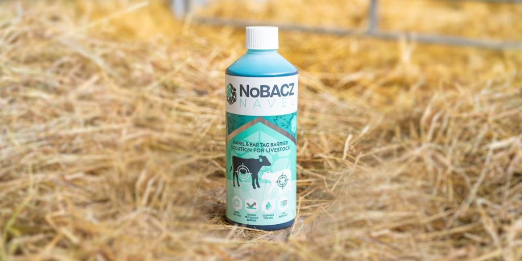 Nobacz Healthcare augmente 4,8 millions de livres sterling pour apporter sa technologie de bandage liquide sur le marché mondial