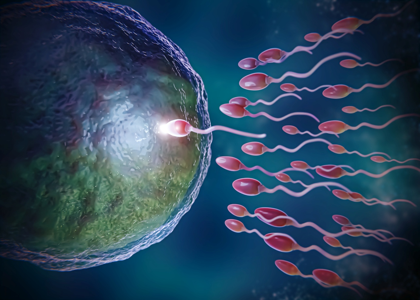 FIV en Turquie (IVF Turkey) : une solution de référence en chirurgie de la fertilité avec Surgery Turkey